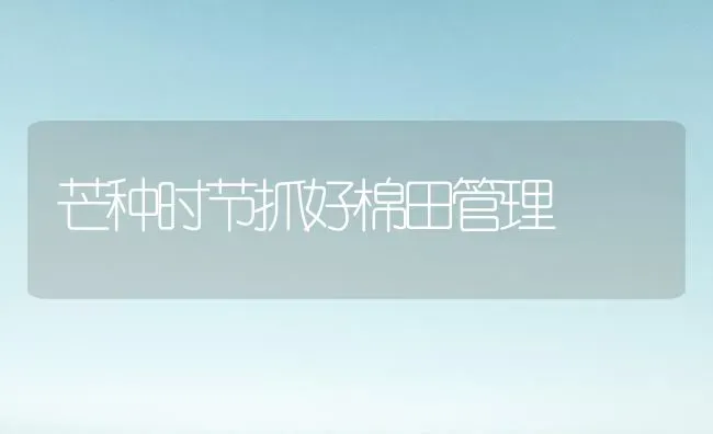 芒种时节抓好棉田管理 | 养殖知识