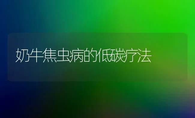 奶牛焦虫病的低碳疗法 | 养殖技术大全