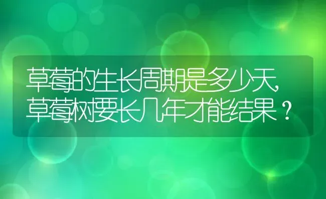 草莓的生长周期是多少天,草莓树要长几年才能结果？ | 养殖科普