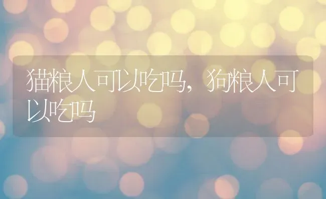 猫粮人可以吃吗,狗粮人可以吃吗 | 养殖科普