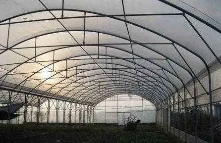 蔬菜大棚养殖蜈蚣技术 | 妙招大全