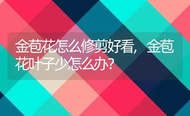 金苞花怎么修剪好看,金苞花叶子少怎么办？ | 养殖科普