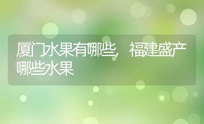 厦门水果有哪些,福建盛产哪些水果 | 养殖学堂