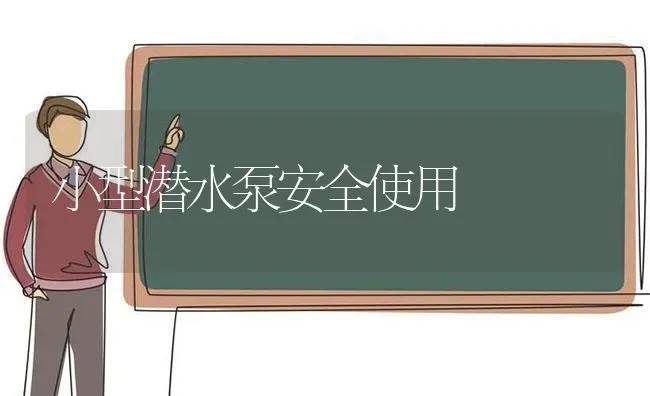 小型潜水泵安全使用 | 养殖技术大全