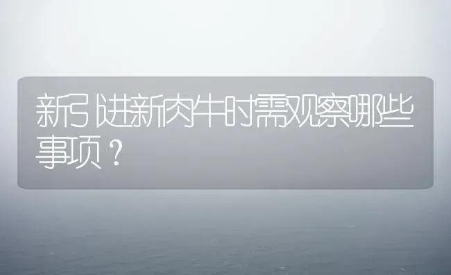 新引进新肉牛时需观察哪些事项? | 养殖技术大全