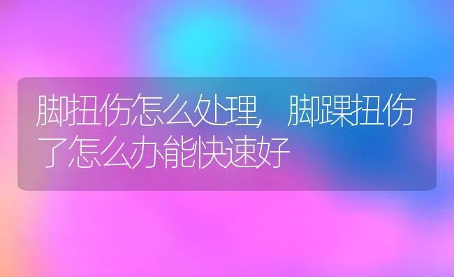 脚扭伤怎么处理,脚踝扭伤了怎么办能快速好 | 养殖资料