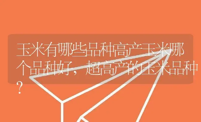 玉米有哪些品种高产玉米哪个品种好,超高产的玉米品种？ | 养殖科普