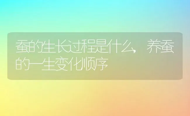 蚕的生长过程是什么,养蚕的一生变化顺序 | 养殖学堂