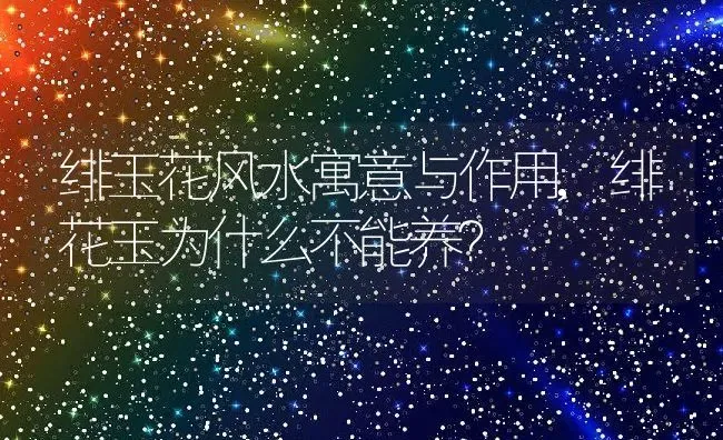 绯玉花风水寓意与作用,绯花玉为什么不能养？ | 养殖科普