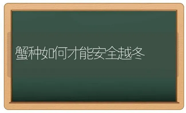 蟹种如何才能安全越冬 | 养殖技术大全