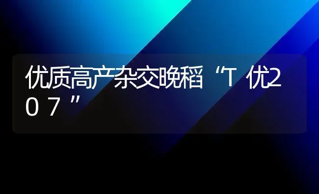 优质高产杂交晚稻“T优207” | 养殖技术大全