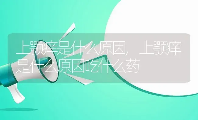 上颚痒是什么原因,上颚痒是什么原因吃什么药 | 养殖科普