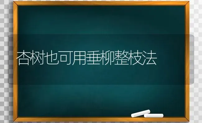 杏树也可用垂柳整枝法 | 养殖知识