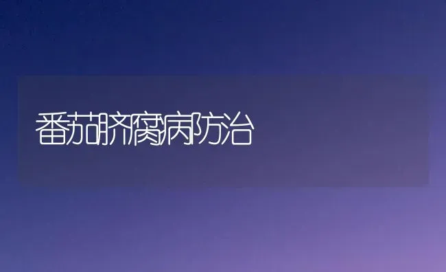 番茄脐腐病防治 | 养殖知识