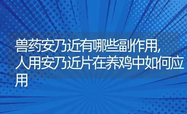 兽药安乃近有哪些副作用,人用安乃近片在养鸡中如何应用 | 养殖学堂