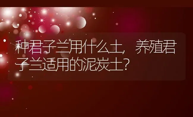 种君子兰用什么土,养殖君子兰适用的泥炭土？ | 养殖学堂