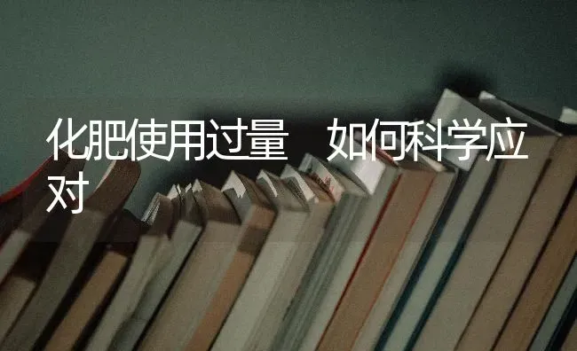 化肥使用过量 如何科学应对 | 养殖技术大全