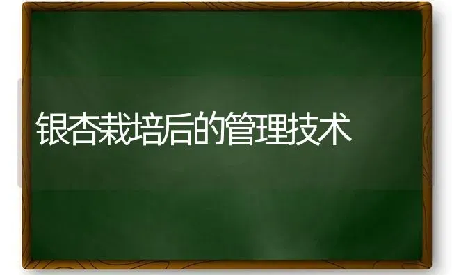 银杏栽培后的管理技术 | 养殖技术大全