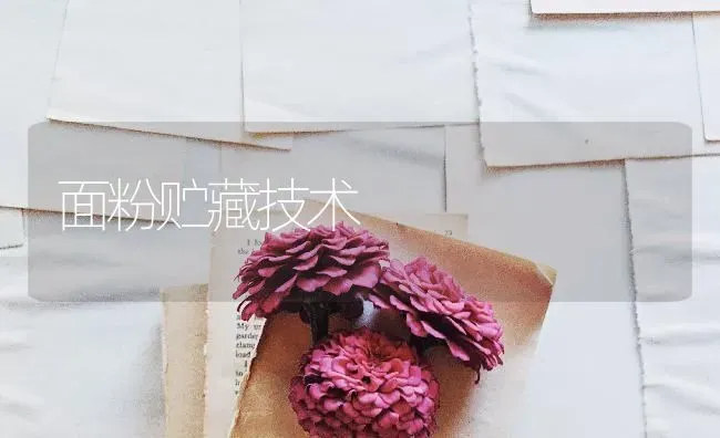面粉贮藏技术 | 养殖技术大全
