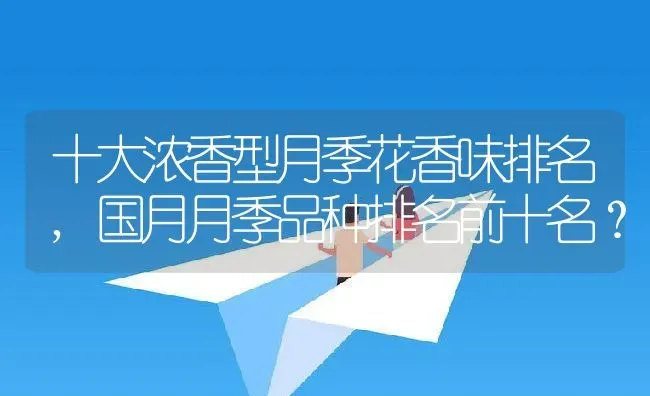 十大浓香型月季花香味排名,国月月季品种排名前十名？ | 养殖科普