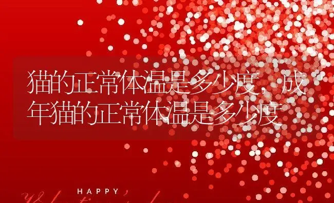 猫的正常体温是多少度,成年猫的正常体温是多少度 | 养殖资料