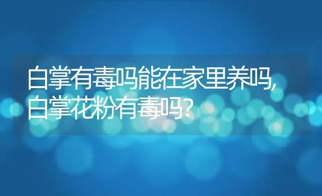 白掌有毒吗能在家里养吗,白掌花粉有毒吗？ | 养殖科普