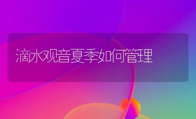 滴水观音夏季如何管理 | 养殖知识