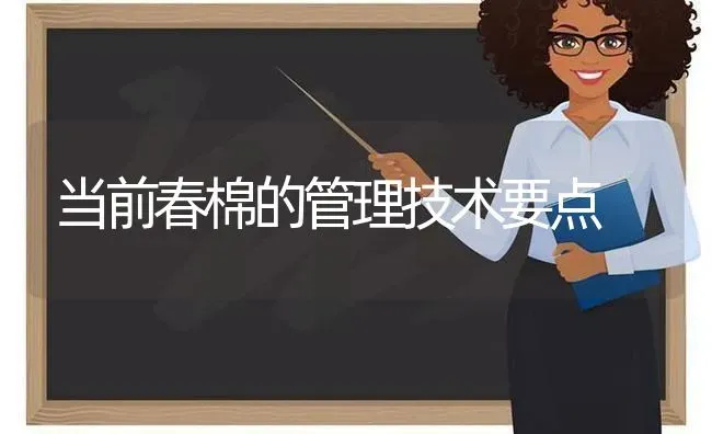 当前春棉的管理技术要点 | 养殖技术大全