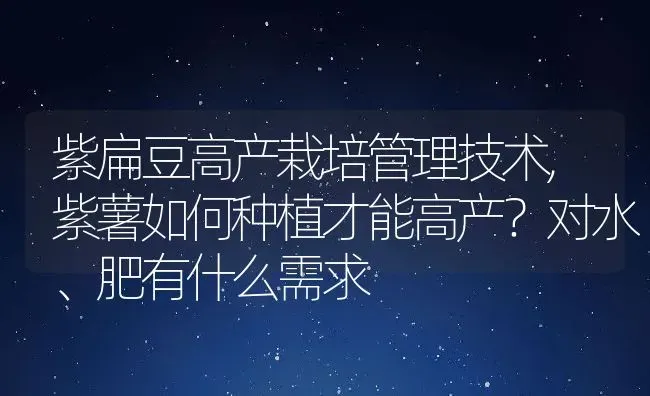 紫扁豆高产栽培管理技术,紫薯如何种植才能高产？对水、肥有什么需求 | 养殖学堂