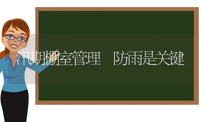 汛期棚室管理 防雨是关键 | 养殖知识