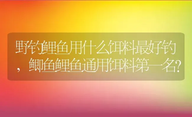 野钓鲤鱼用什么饵料最好钓,鲫鱼鲤鱼通用饵料第一名？ | 养殖学堂