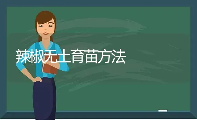 辣椒无土育苗方法 | 养殖知识