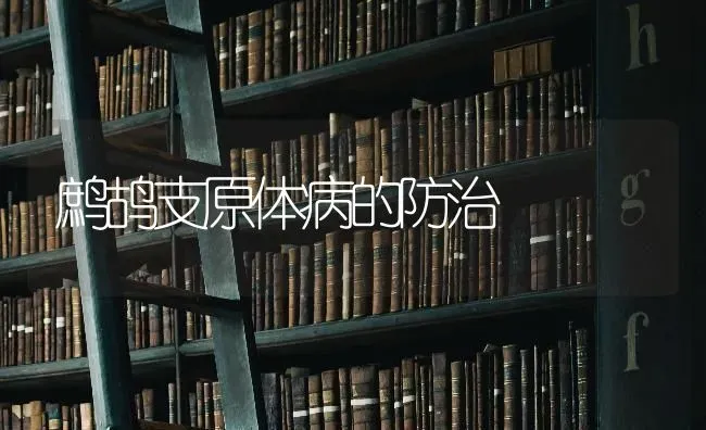 鹧鸪支原体病的防治 | 养殖知识