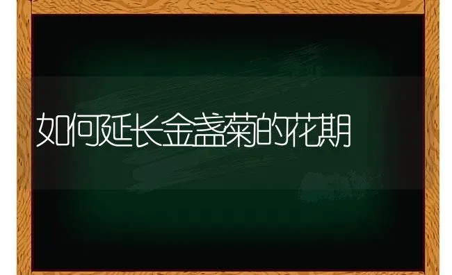 如何延长金盏菊的花期 | 养殖技术大全