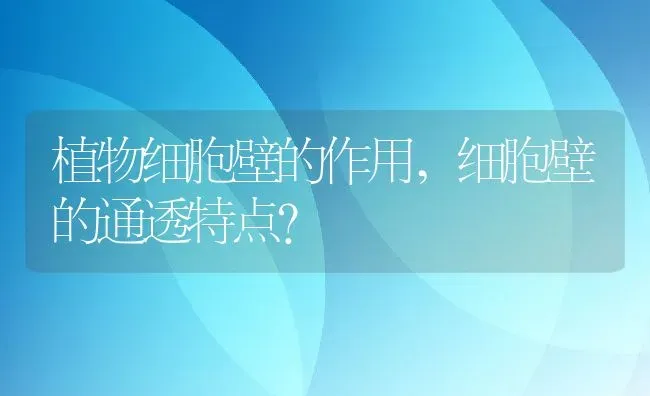 植物细胞壁的作用,细胞壁的通透特点？ | 养殖科普