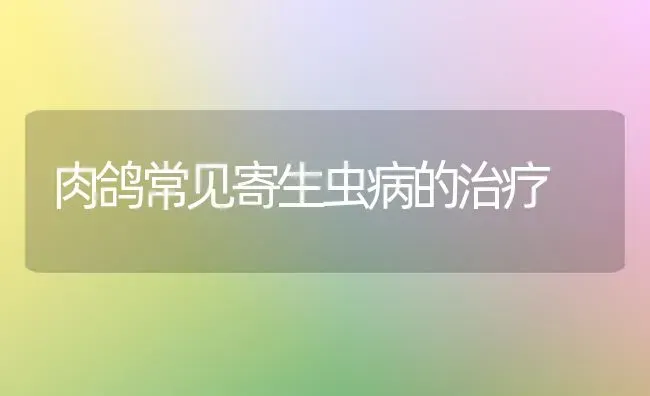 肉鸽常见寄生虫病的治疗 | 养殖技术大全