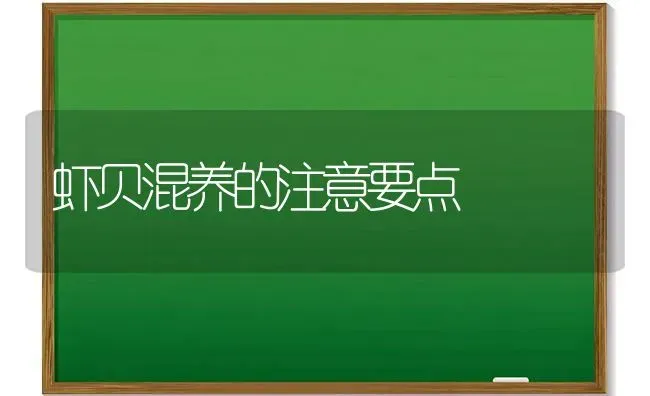 虾贝混养的注意要点 | 养殖技术大全