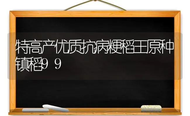 特高产优质抗病粳稻王原种镇稻99 | 养殖技术大全