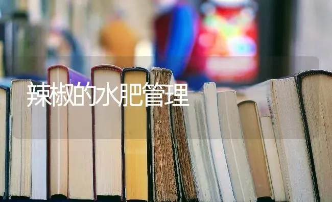 辣椒的水肥管理 | 养殖技术大全