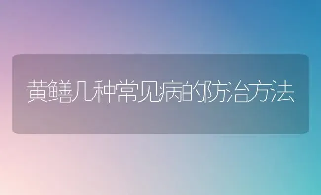 黄鳝几种常见病的防治方法 | 养殖技术大全