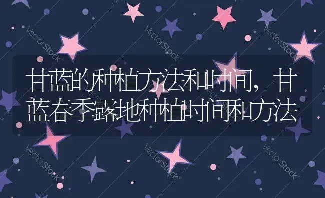 甘蓝的种植方法和时间,甘蓝春季露地种植时间和方法 | 养殖学堂