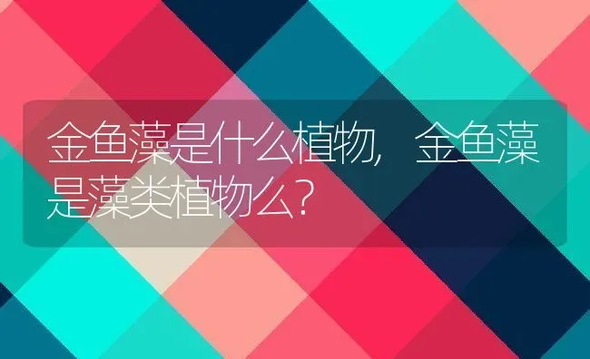 金鱼藻是什么植物,金鱼藻是藻类植物么？ | 养殖科普