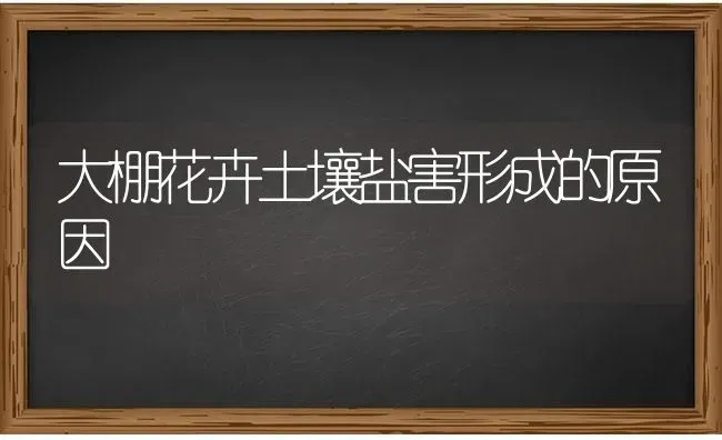 大棚花卉土壤盐害形成的原因 | 养殖知识