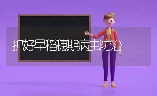 抓好早稻穗期病虫防治 | 养殖技术大全