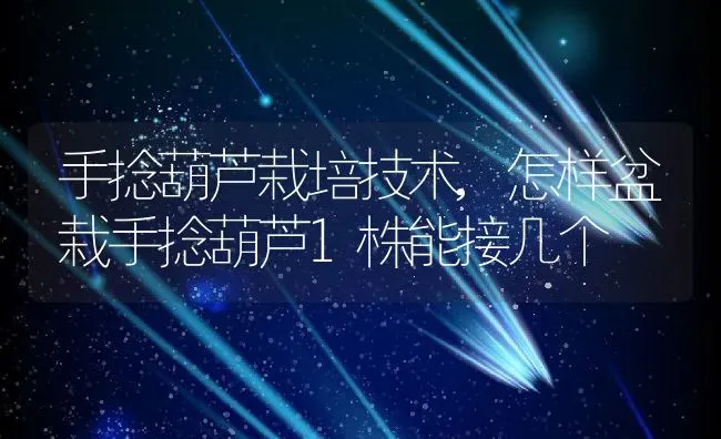 手捻葫芦栽培技术,怎样盆栽手捻葫芦1株能接几个 | 养殖学堂