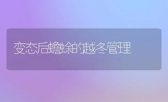 变态后蟾蜍的越冬管理 | 养殖知识