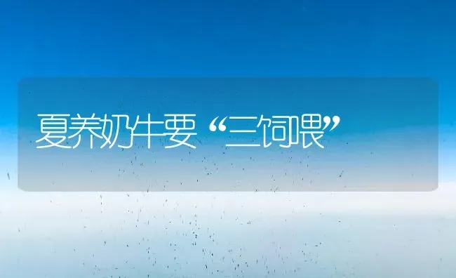 夏养奶牛要“三饲喂” | 养殖知识