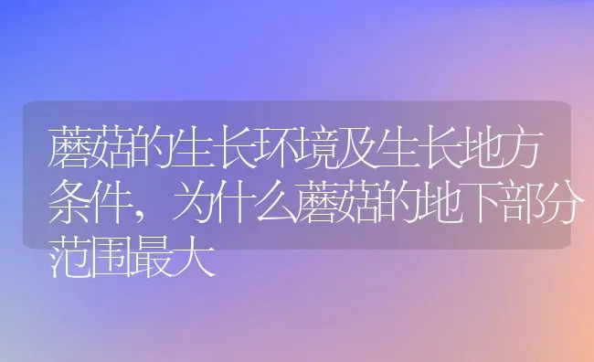 蘑菇的生长环境及生长地方条件,为什么蘑菇的地下部分范围最大 | 养殖学堂