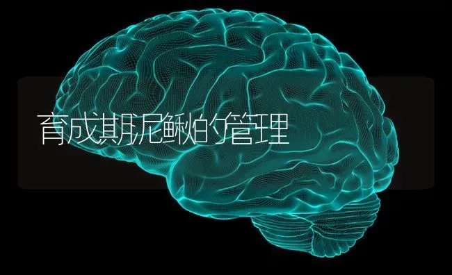 育成期泥鳅的管理 | 养殖知识