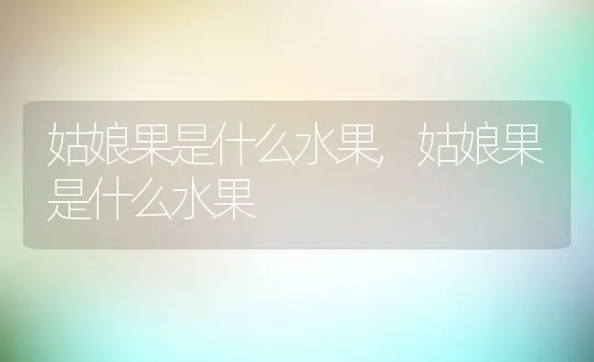 姑娘果是什么水果,姑娘果是什么水果 | 养殖科普